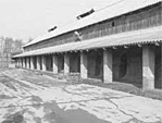Fénykorában