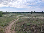 Dimbes-dombos
