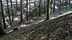 Fényjáték
