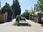 410. állomás: Szolnok