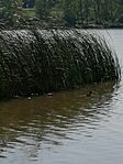 Lakók