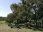 A parkoló, és a pihenőhely