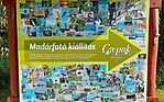 Kiállítás