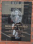 513.Vitéz nemes Molnár László főhadnagy