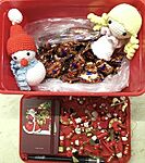 08 Nyíregyháza 2023