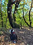 GC7K6 ládarejtek