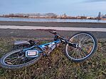 Albertfalva, Dunapart