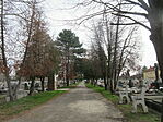 438. állomás: Békéscsaba