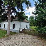 553. Nagy László, Iszkáz