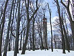 GCTT - 2009.03.14.