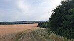 Kövesdomb, nyugati panoráma