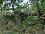 403.  Rónya-bérc, Mátra