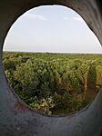 Toronyablakból