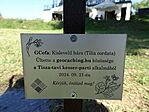 Kérlek, szólj, ha nincs meg a tábla