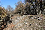 Ráró-kő kövei