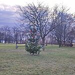 2024 decemberi karácsonyfánk