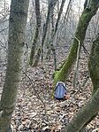 IMG_4783