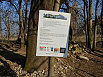 Ismertető
