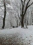 Pihenő télen (napvirág)