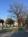 IMG_0941