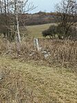 IMG_20250208_124326