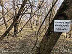 427. Papkeszi Kalaposvár