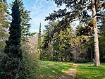 Parkrészlet