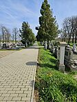485. állomás Kétegyháza 