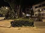 IMG_4884