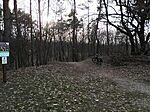 20. Pestszentlőrinc