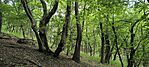 IMG_20250511_143726