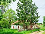 517. Nagyvázsony, Csörgő-malom