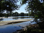Vadregény