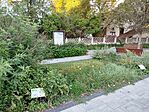 Gyógynövénypark