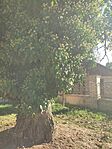 IMG_20250920_155946