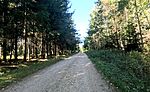 Jelleghatáron