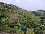 A Kőhát-lápa sziklás oldala