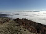 Panoráma4