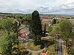 Slatina mamutja