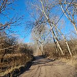 Kellemes homokos út