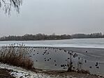 888. állomás: Zalaegerszeg, Gébárti tó
