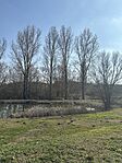892. állomás: Kaposmérő, Avia benzinkút