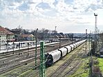 Madártávlatból
