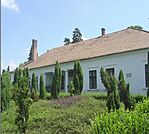 A Miskolczi-kúria a parkban