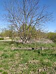 IMG_20260405_134901