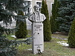 Kelemen Imre