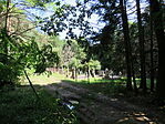 Vörösszeg