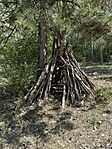 Wigwam