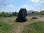 Gyapjaszsák