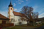 Terény
